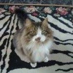 Meet your Posher, Gloria